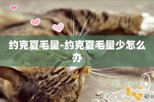 約克夏毛量-約克夏毛量少怎么辦