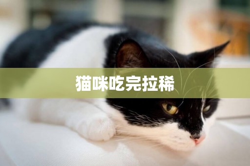 貓咪吃完拉稀