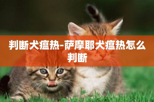 判斷犬瘟熱-薩摩耶犬瘟熱怎么判斷