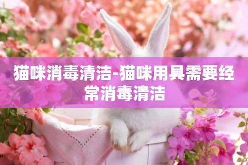 貓咪消毒清潔-貓咪用具需要經常消毒清潔