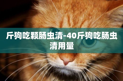 斤狗吃顆腸蟲清-40斤狗吃腸蟲清用量