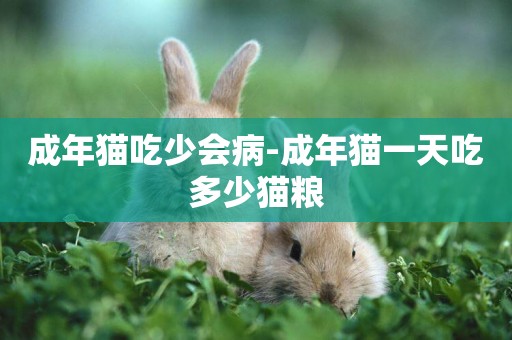 成年貓吃少會病-成年貓一天吃多少貓糧