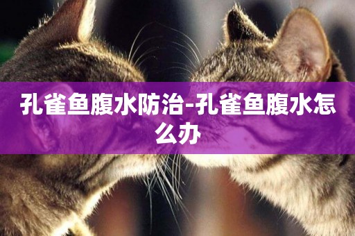 孔雀魚腹水防治-孔雀魚腹水怎么辦