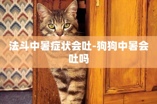 法斗中暑癥狀會吐-狗狗中暑會吐嗎
