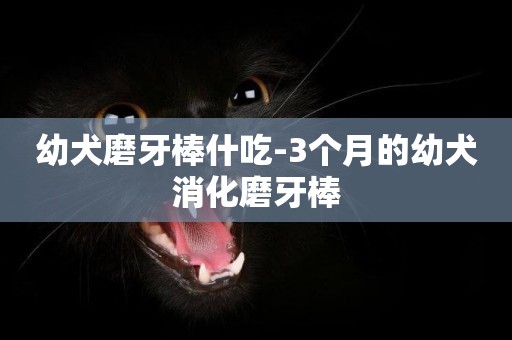 幼犬磨牙棒什吃-3個月的幼犬消化磨牙棒