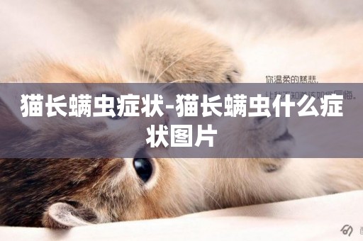 貓長螨蟲癥狀-貓長螨蟲什么癥狀圖片