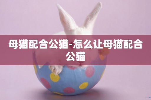 母貓配合公貓-怎么讓母貓配合公貓