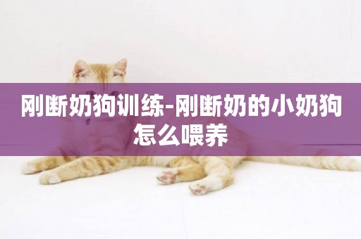 剛斷奶狗訓練-剛斷奶的小奶狗怎么喂養