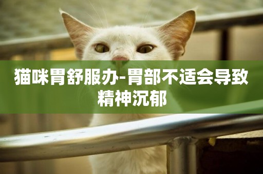 貓咪胃舒服辦-胃部不適會導致精神沉郁
