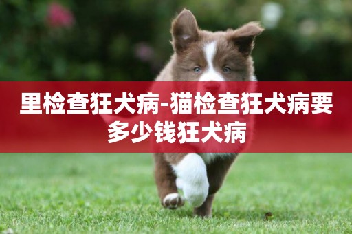 里檢查狂犬病-貓檢查狂犬病要多少錢狂犬病