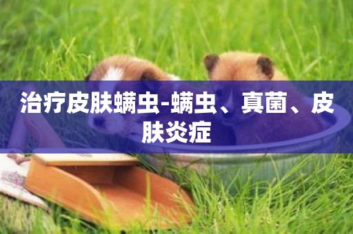 治療皮膚螨蟲-螨蟲、真菌、皮膚炎癥