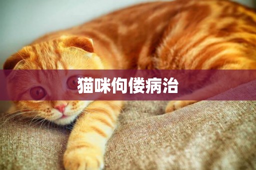 貓咪佝僂病治