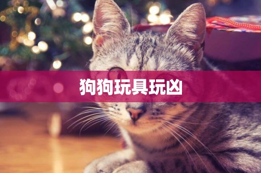 狗狗玩具玩兇