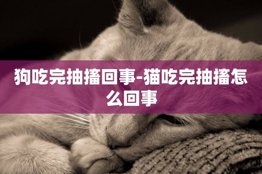 狗吃完抽搐回事-貓吃完抽搐怎么回事