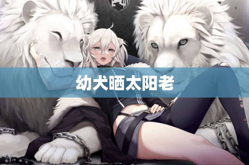 幼犬曬太陽老