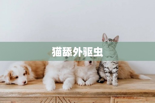 貓舔外驅蟲