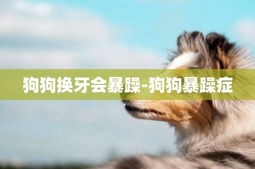 狗狗換牙會暴躁-狗狗暴躁癥