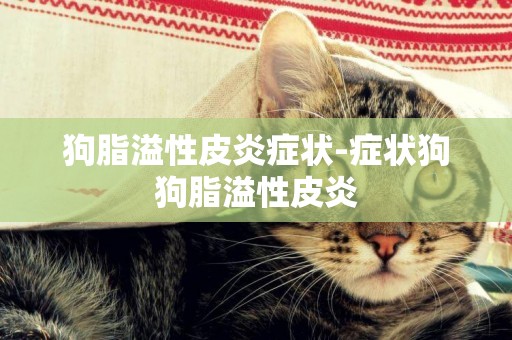 狗脂溢性皮炎癥狀-癥狀狗狗脂溢性皮炎