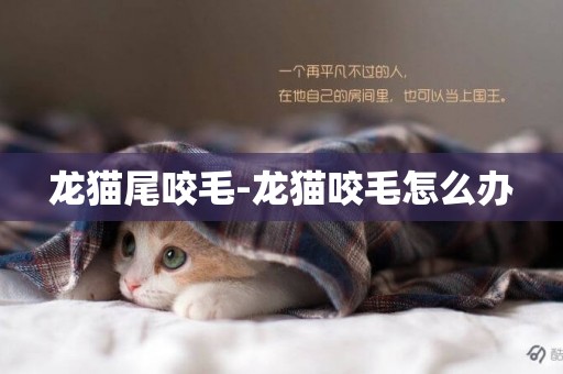 龍貓尾咬毛-龍貓咬毛怎么辦