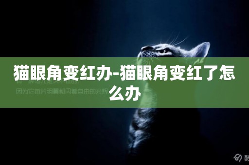 貓眼角變紅辦-貓眼角變紅了怎么辦
