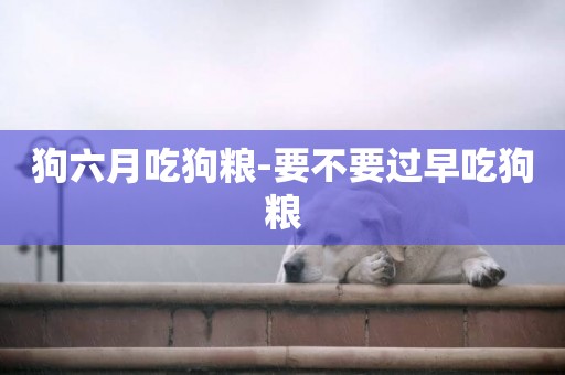 狗六月吃狗糧-要不要過早吃狗糧
