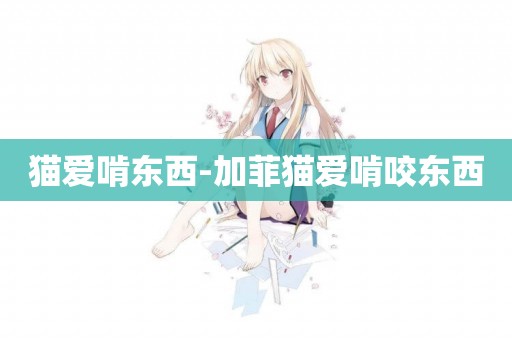 貓愛啃東西-加菲貓愛啃咬東西