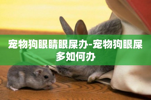 寵物狗眼睛眼屎辦-寵物狗眼屎多如何辦