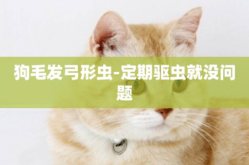 狗毛發弓形蟲-定期驅蟲就沒問題