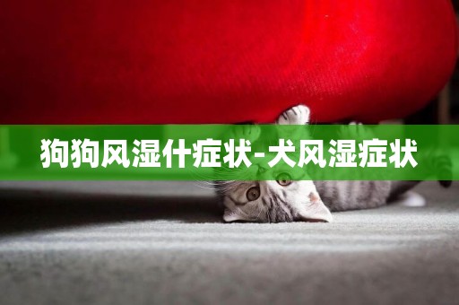 狗狗風濕什癥狀-犬風濕癥狀