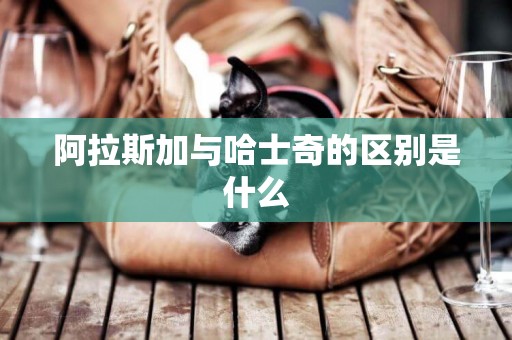 阿拉斯加與哈士奇的區別是什么