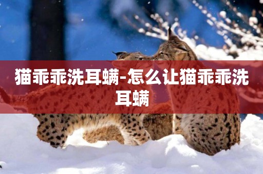 貓乖乖洗耳螨-怎么讓貓乖乖洗耳螨
