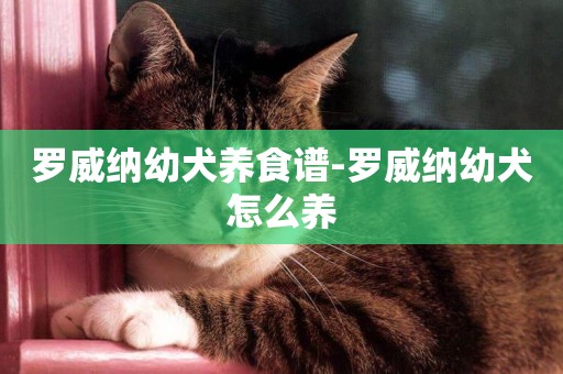 羅威納幼犬養食譜-羅威納幼犬怎么養