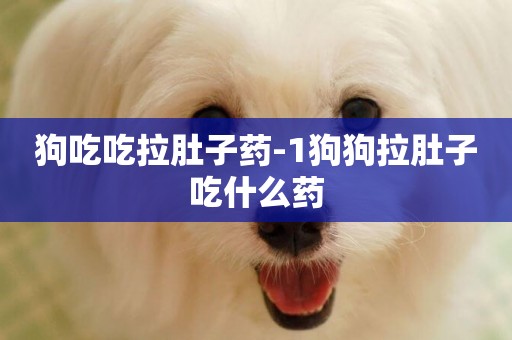 狗吃吃拉肚子藥-1狗狗拉肚子吃什么藥