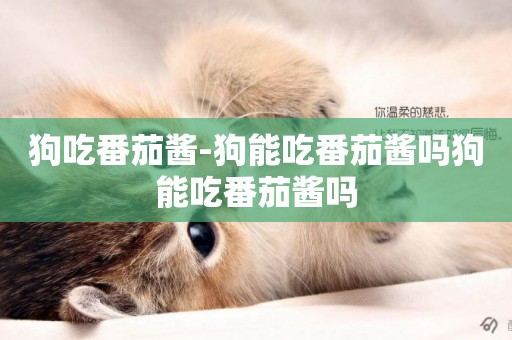 狗吃番茄醬-狗能吃番茄醬嗎狗能吃番茄醬嗎