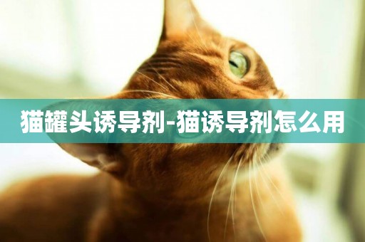 貓罐頭誘導劑-貓誘導劑怎么用