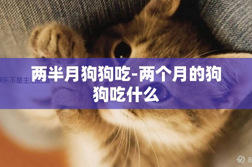 兩半月狗狗吃-兩個月的狗狗吃什么