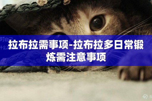拉布拉需事項-拉布拉多日常鍛煉需注意事項