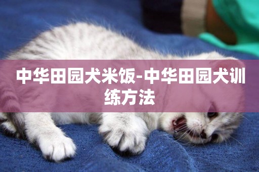 中華田園犬米飯-中華田園犬訓練方法