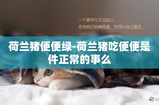 荷蘭豬便便綠-荷蘭豬吃便便是件正常的事么