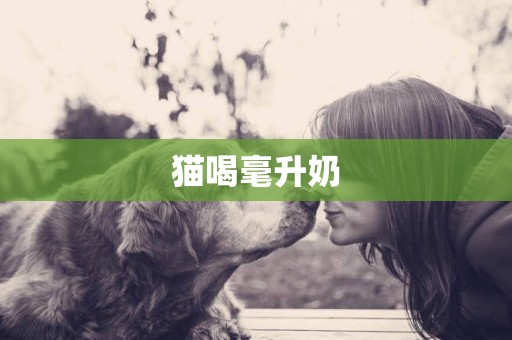 貓喝毫升奶