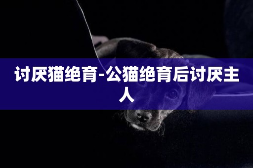 討厭貓絕育-公貓絕育后討厭主人