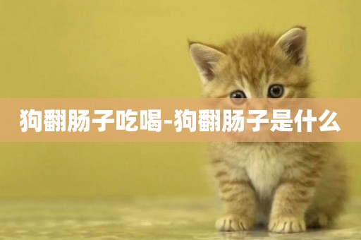 狗翻腸子吃喝-狗翻腸子是什么