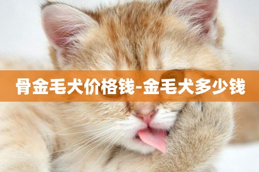 骨金毛犬價格錢-金毛犬多少錢