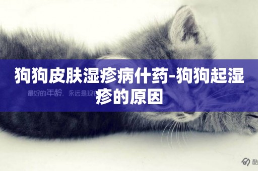 狗狗皮膚濕疹病什藥-狗狗起濕疹的原因