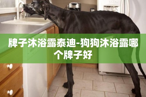 牌子沐浴露泰迪-狗狗沐浴露哪個牌子好