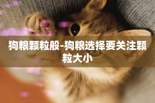 狗糧顆粒般-狗糧選擇要關注顆粒大小