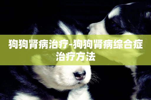 狗狗腎病治療-狗狗腎病綜合癥治療方法