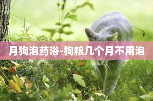 月狗泡藥浴-狗糧幾個月不用泡