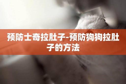 預防士奇拉肚子-預防狗狗拉肚子的方法