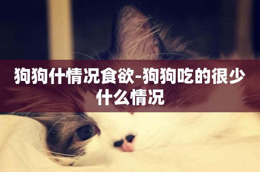 狗狗什情況食欲-狗狗吃的很少什么情況
